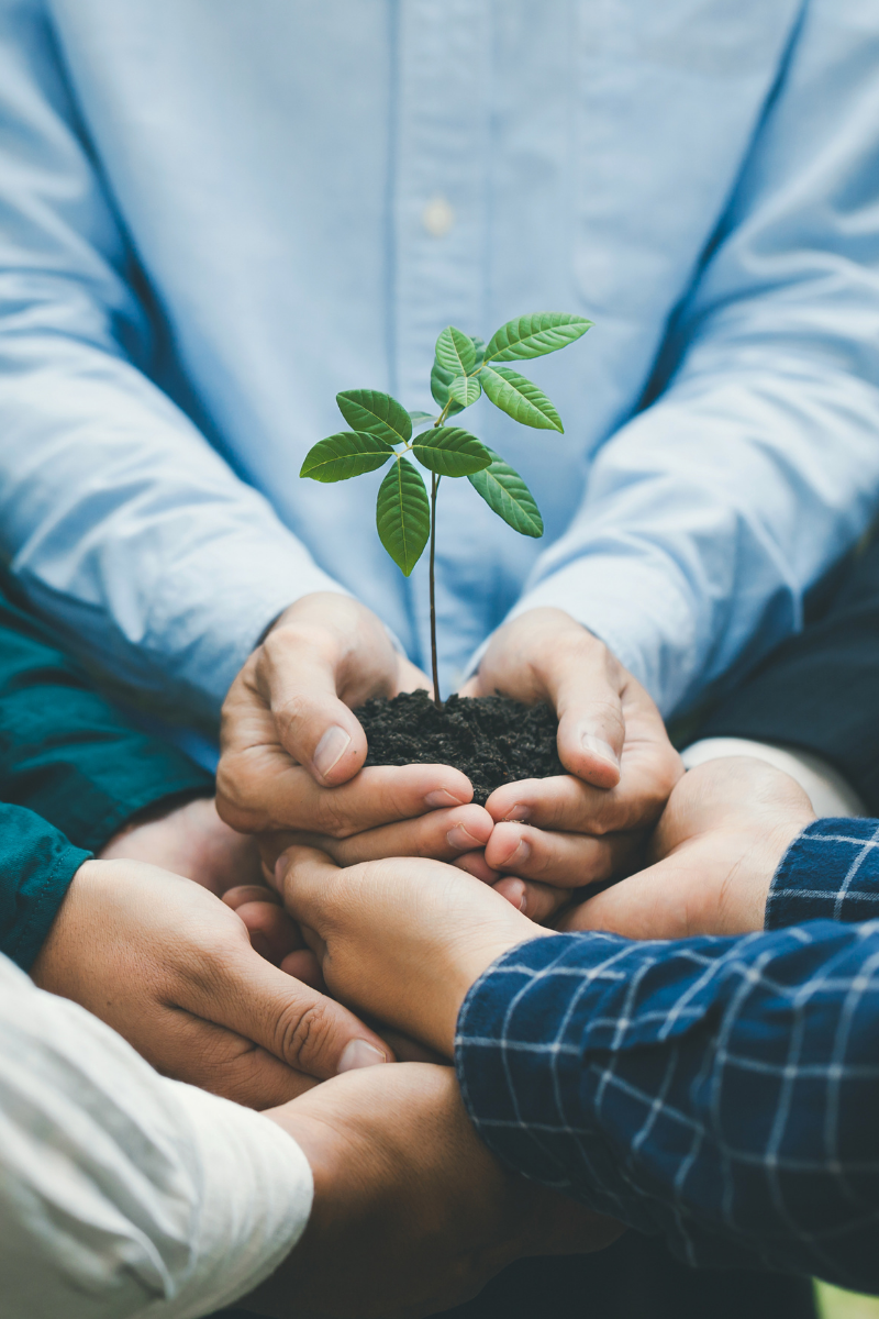 Getting Your Story Featured on Toiro_